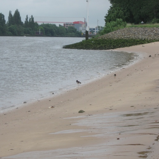 Ein Sandstrand am Fluss.