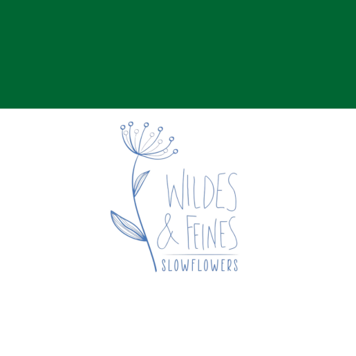 Logo von Wildes und Feines im Rahmen des Themenjahres "NATURlich Bremen 2025"