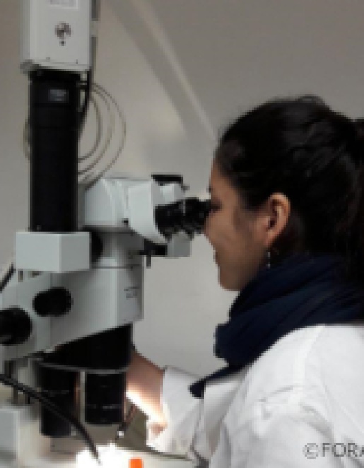 Eine junge Frau guckt in ein Mikroskop