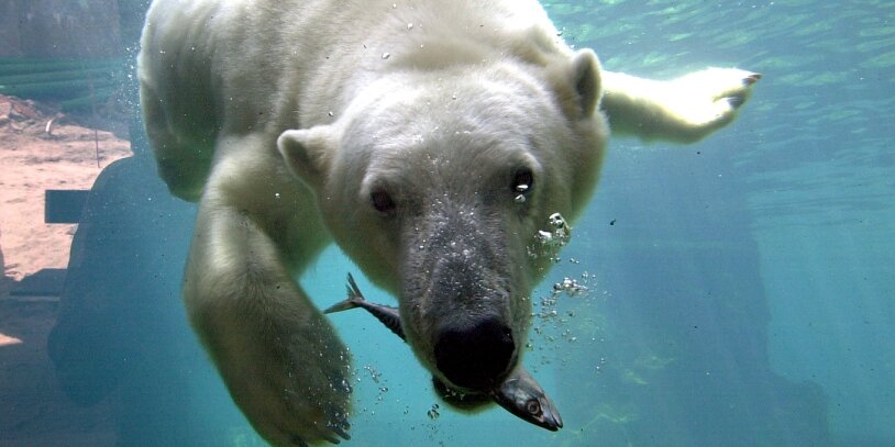 Zoo am Meer