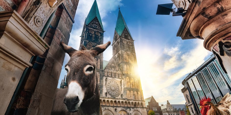 Ein Esel und ein Hahn blicken durch einen der Bögen am Rathaus, im Hintergrund der von der Sonne beschienene Dom