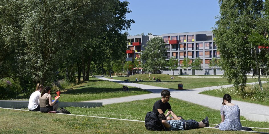 Studenten sitzen auf dem Rasen auf dem Uni Gelände und genießen die Sonne