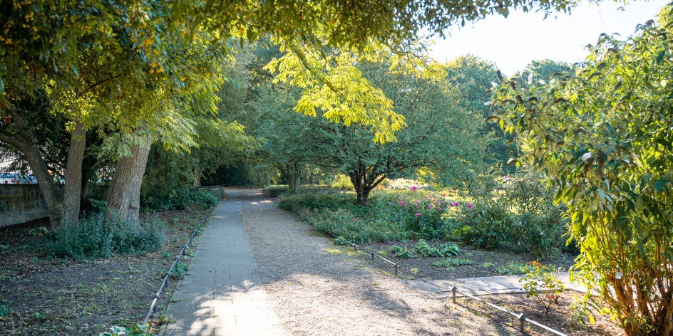 Weg in den Neustadtswallanlagen