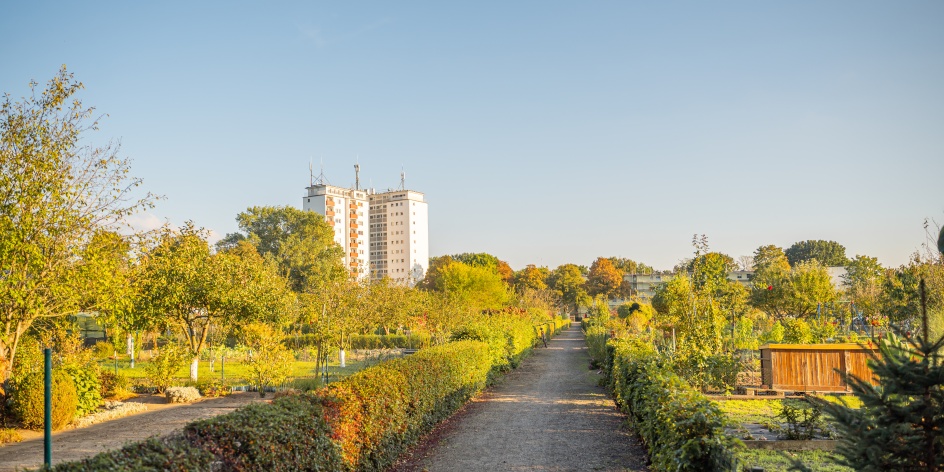 Sorry, there is no description for this photo available