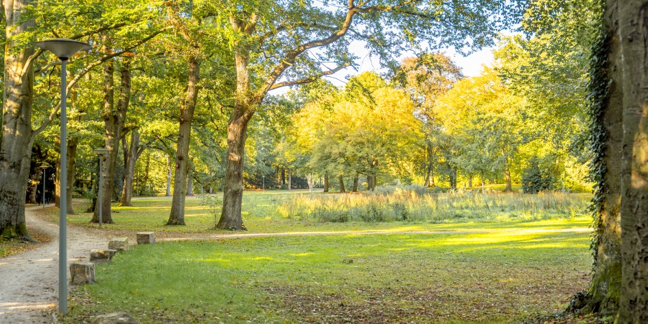 Ein Park in Walle.