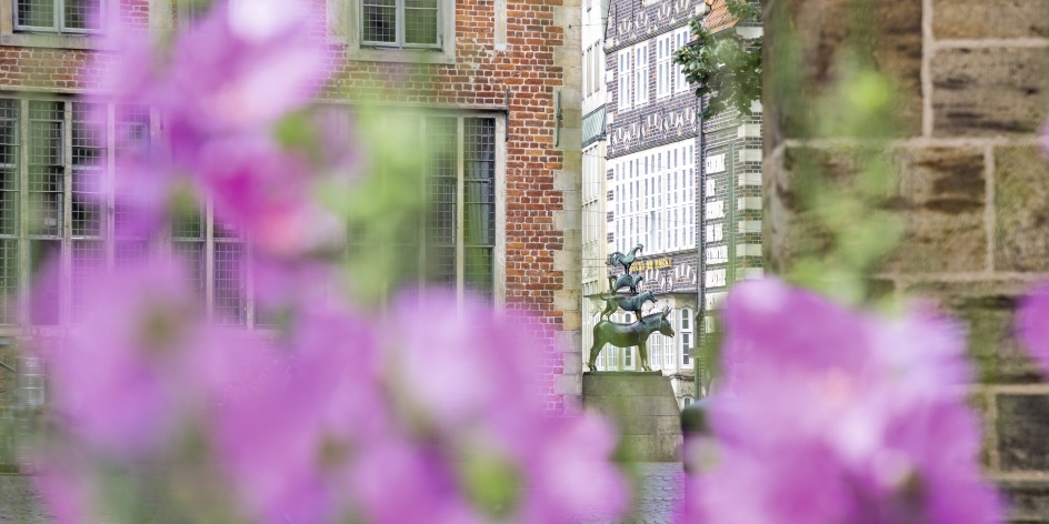 Bremer Stadtmusikanten durch Blumen fotografiert 
