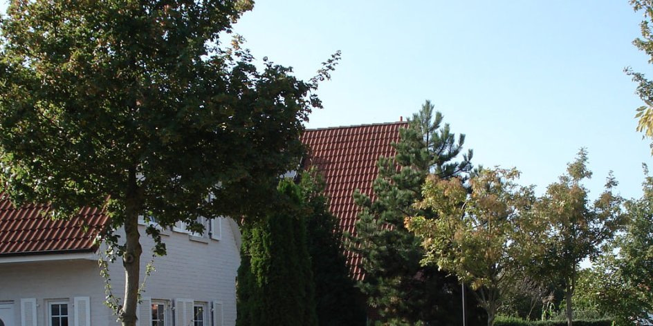 Hausdächer, im Vordergrund Bäume; Quelle: Ortsamt Seehausen