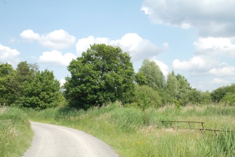 Weg im Park Links der Weser