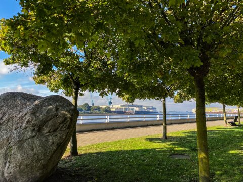 Der Blick geht über die Weser. Davor sind ein paar Bäume gepflanzt und daneben stehen Bänke.