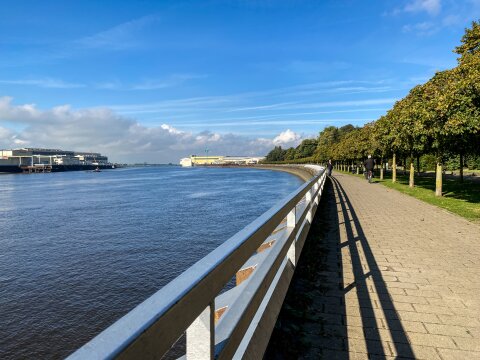 Ein langer Weg führt entlang der Weser. Auf der rechten Seite sind Bäume gepflanzt und der Himmel ist strahlend blau. 