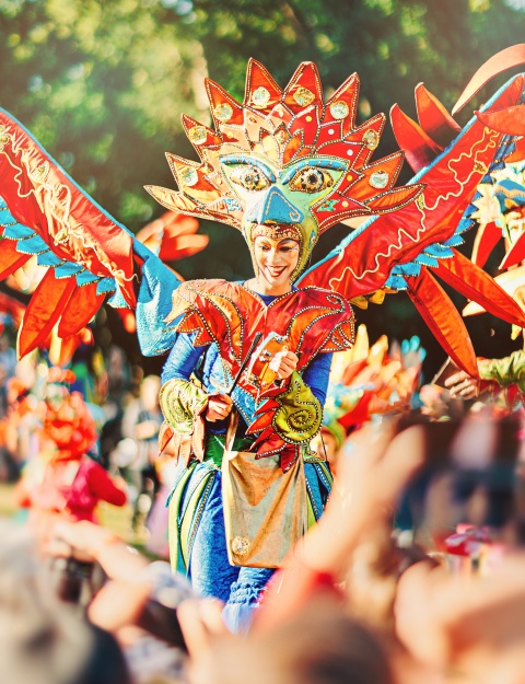 Das Foto zeigt den Bremer Karneval.