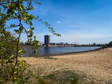 Es hängt ein Ast im Bild. Der Blick geht über den Sandstrand. Im Hintergrund ist die Weser und ein hohes Gebäude zu sehen.