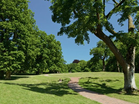 A path leads through a park with extensive meadow and trees