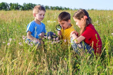 Drei Kinder sitzen auf einer Wiese und betrachten eine Pflanze durch eine Lupe (Foto: Fotolia / Sergiy Bykhunenko)