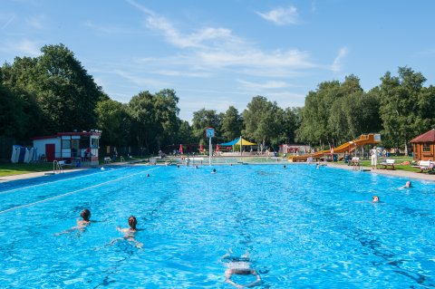 Schwimmer im Becken des Freibads in Horn