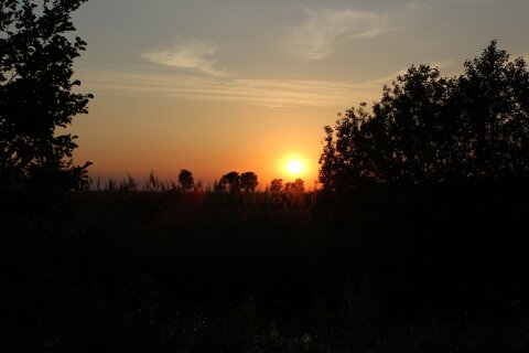 Abendstimmung - Landschaft bei Sonnenuntergang