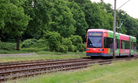 Eine Straßenbahn in grüner Umgebung in der Vahr