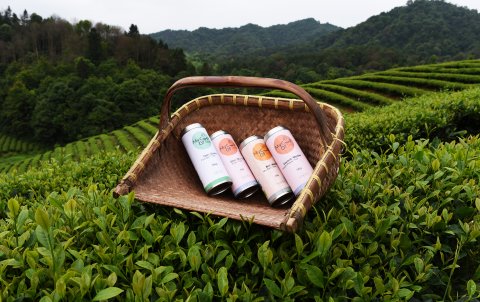 Die Produkte von my Cup Of Tea in einer fernöstlichen Teeplantage.