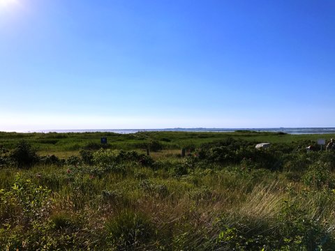 Eine grüne Wiese am Meer. Der Himmel ist strahlend blau.