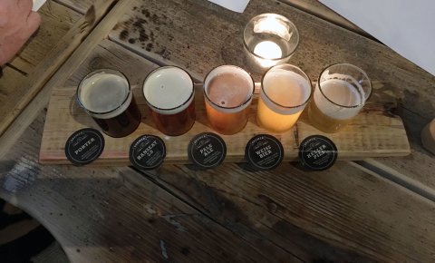 Ein Foto von verschiedenen Biersorten in Gläsern nebeneinander.