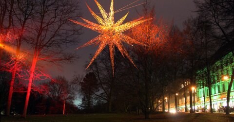 Ein beleuchteter Stern hängt in einem Baum