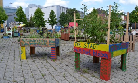 Hochbeete mit grünen Pflanzen stehen auf einem betonierten Platz; Quelle: bremen.online GmbH - MDR