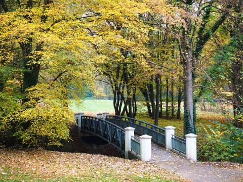 Eine brücke zwischen herbstlich verfärbten Bäumen.