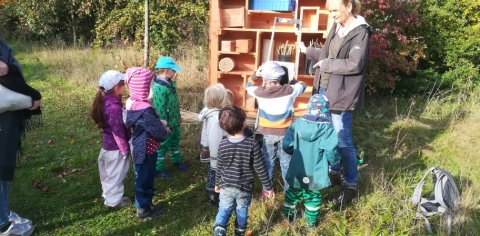 Eine Gruppe von Kindern betrachtet einen Schaukasten in der Natur