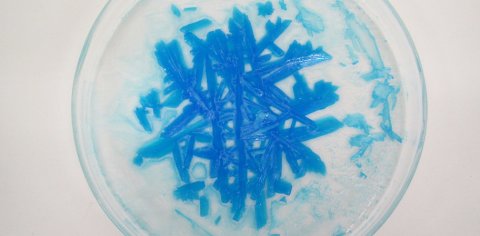 Eine blaue Probe in einer Petrischale