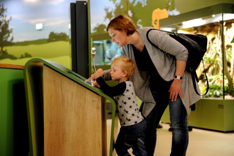 Eine Frau schaut sich mit einem Kind einen Monitor im Entdeckerzentrum an.