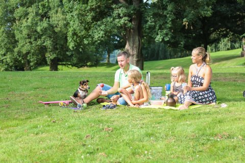 Eine vierköpfige Familie sitzt auf einer Picknickdecke im Park, einkleiner Hund schaut zu