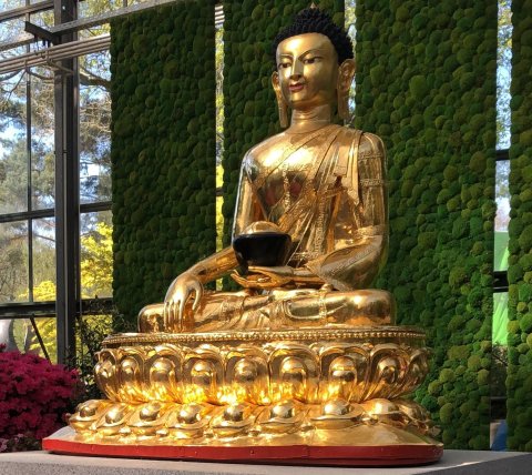 Ein goldener Buddha trohnt auf einem Podest