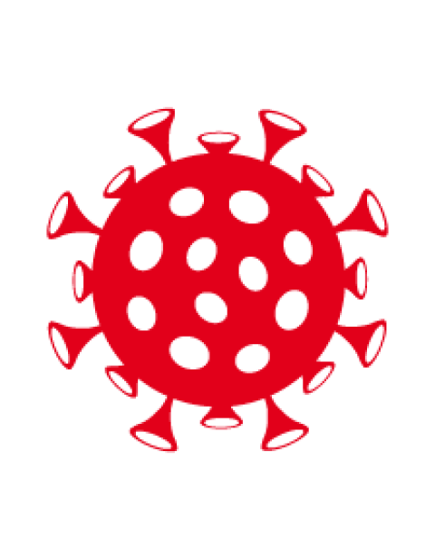Schematische Darstellung eines Virus