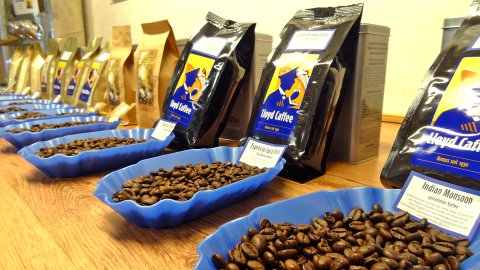 Verschiedene Kaffeesorten bei Lloyd Caffee