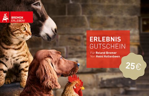 Die Bremer Stadtmusikanten stehen nebeneinander und blicken nach rechts