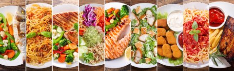 Viele verschiedene Teller mit Gerichten sind in einer Fotostory nebeneinander arrangiert. Auf den Tellern befinden sich Gerichte wie gebratener Lachs, Steak, Pommes, Pasta oder Chicken Nuggets.
