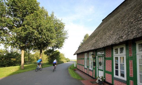 Zwei Rennradfahrer im Blockland.