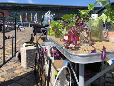 Ein Flohmarktstand mit Pflanzen, Dekorationsartikeln und Kleidung auf der Bremer Bürgerweide. Im Hintergrund befinden sich weitere Flohmarktstände.