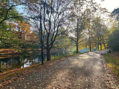 Ein Weg in den Wallanlagen ist mit orangenen Blättern gepflastert. Im Hintergrund ist ein kleiner Fluss zu sehen