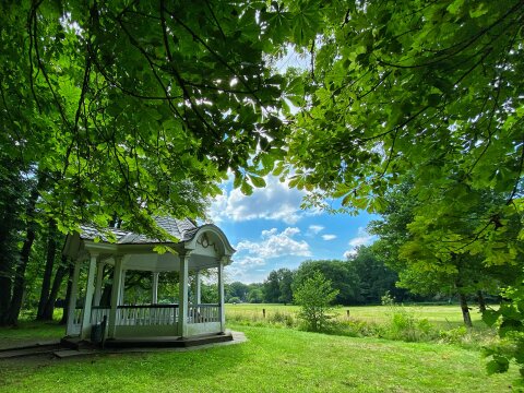 Der Gerdes Pavillon im Bürgerpark umgeben von vielen grünen Blättern, im Hintergrund eine Wiese mit Kühen unter blauem Himmel mit weißen Wolken.