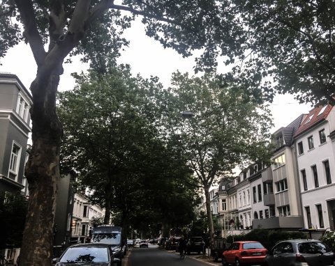 Zu sehen ist die Humboldtstraße. Auf der Straße fährt ein Radfahrer. 
