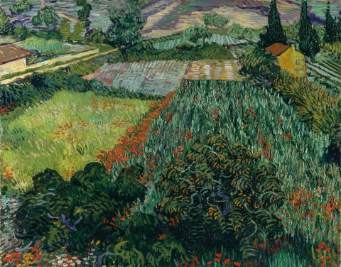 Vincent van Gogh, Mohnfeld, 1889 Öl auf Leinwand, 72 x 91 cm Kunsthalle Bremen – Der Kunstverein in Bremen