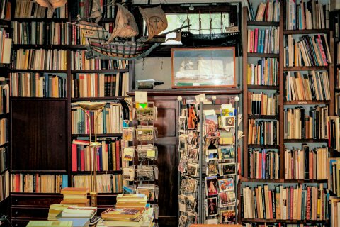 Das Haus der Bücher Innenansicht. Viele Bücher liegen in vollen Regalen. 