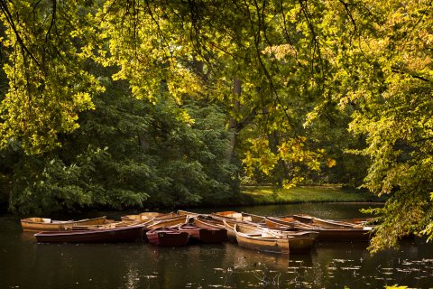 Holzboote auf dem Wasser in herbstlicher Landschaft, Quelle: Michael Becker/MicBeck