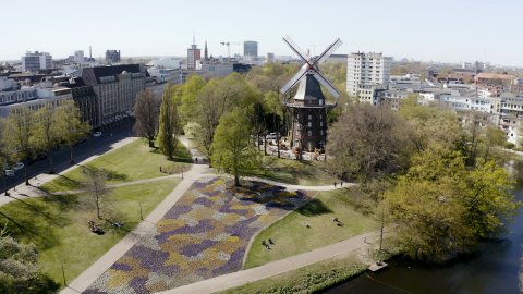  Eine Luftaufnahme zeigt die "Mühle am Wall". Die Mühle ist von bunten Blumen und grünen Wiesen sowie Gebäuden umgeben.