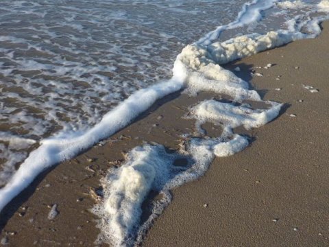 Von Bremen Aus Ans Meer Entdeckt Die Nordsee