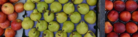 Eine Obstkiste mit Äpfel, Birnen und Nektarinen; Quelle: WFB/bremen.online - MDR