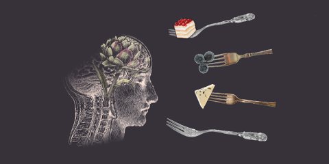 Illustration zu den Veranstaltungen "Café im Dunkeln" und "Dinner im Dunkeln": Das Bild zeigt eine Zeichnung eines Kopfes in seitlichem Querschnitt. Im Gehirn ist symbolisch eine Artischocke zu sehen. Vor dem Kopf schweben vier Gabeln, teilweise mit unterschiedlichen Lebensmitteln: Eine Gabel transportiert ein Stück Kuchen, eine Heidelbeeren und eine ein Stück Käse.