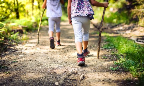 Two little girls walk through a forest with walking sticks.