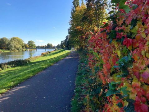 Ein Weg führt am Werdersee entlang. Auf der rechten Seite säumen bunt gefärbte Blätter den Weg.